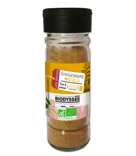 Gingembre Bio|Moulu