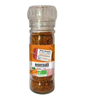 Curcuma Bio|Morceaux