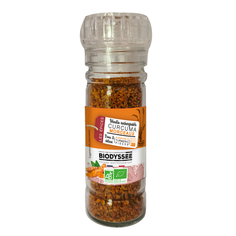 Curcuma Bio|Morceaux