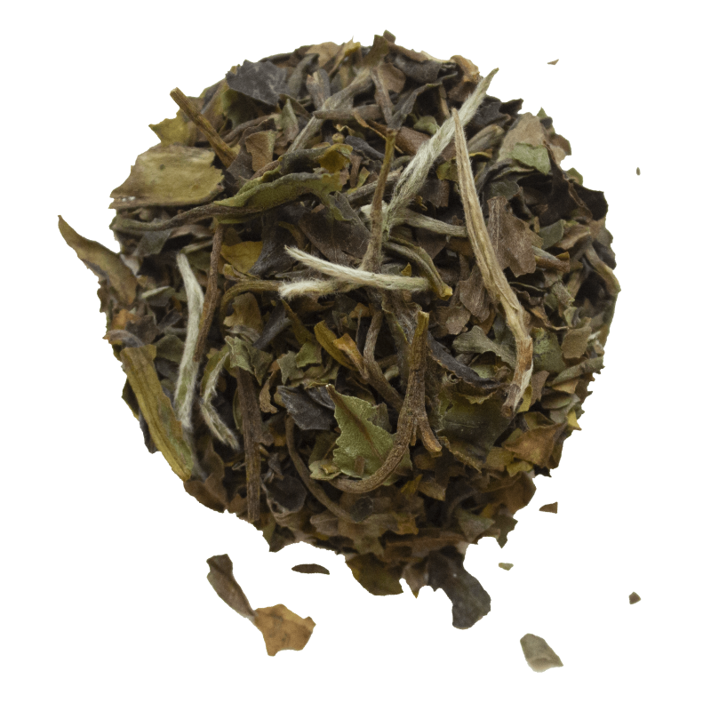 Grade de Thé Blanc Bai Mu Dan Bio de Chine