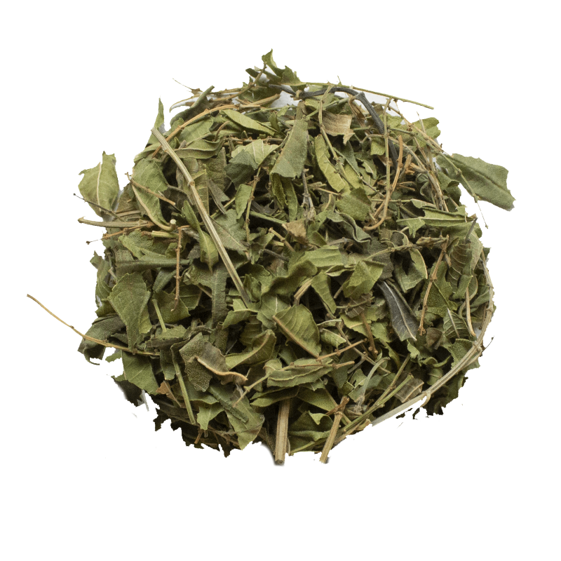 Tisane|Verveine Odorante Feuilles Bio
