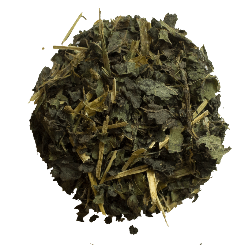 Tisane|Ortie Piquante Feuilles Bio