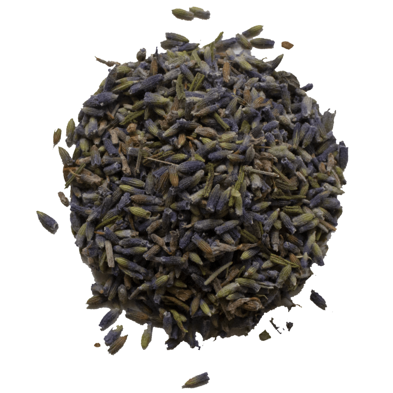 Tisane|Lavande Fleurs Bio