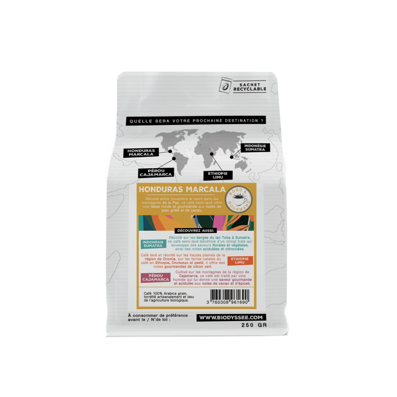 Café de spécialité en grain du Honduras pur arabica bio - 250g