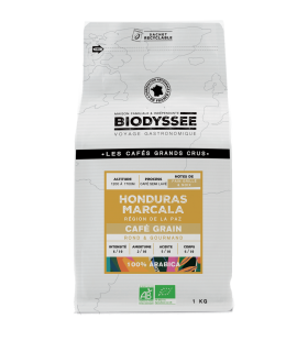 Café de spécialité en grain du Honduras pur arabica bio - 1kg
