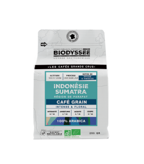 Café de spécialité en grain d’Indonésie pur arabica bio - 250g