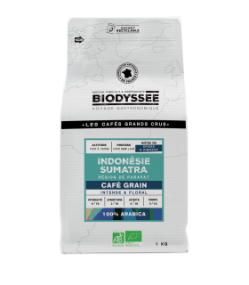 Café de spécialité en grain d’Indonésie pur arabica bio - 250g