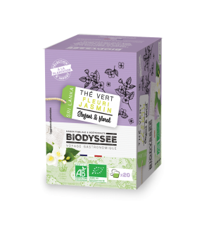 Thé vert bio jasmin x20