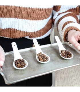 atelier origine du café