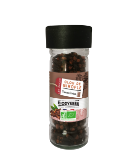 clou de girofle bio entier