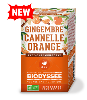infusion gingembre cannelle bio
