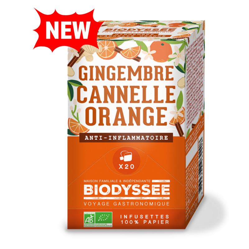 infusion gingembre cannelle bio