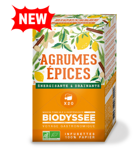 infusion agrumes et épices bio