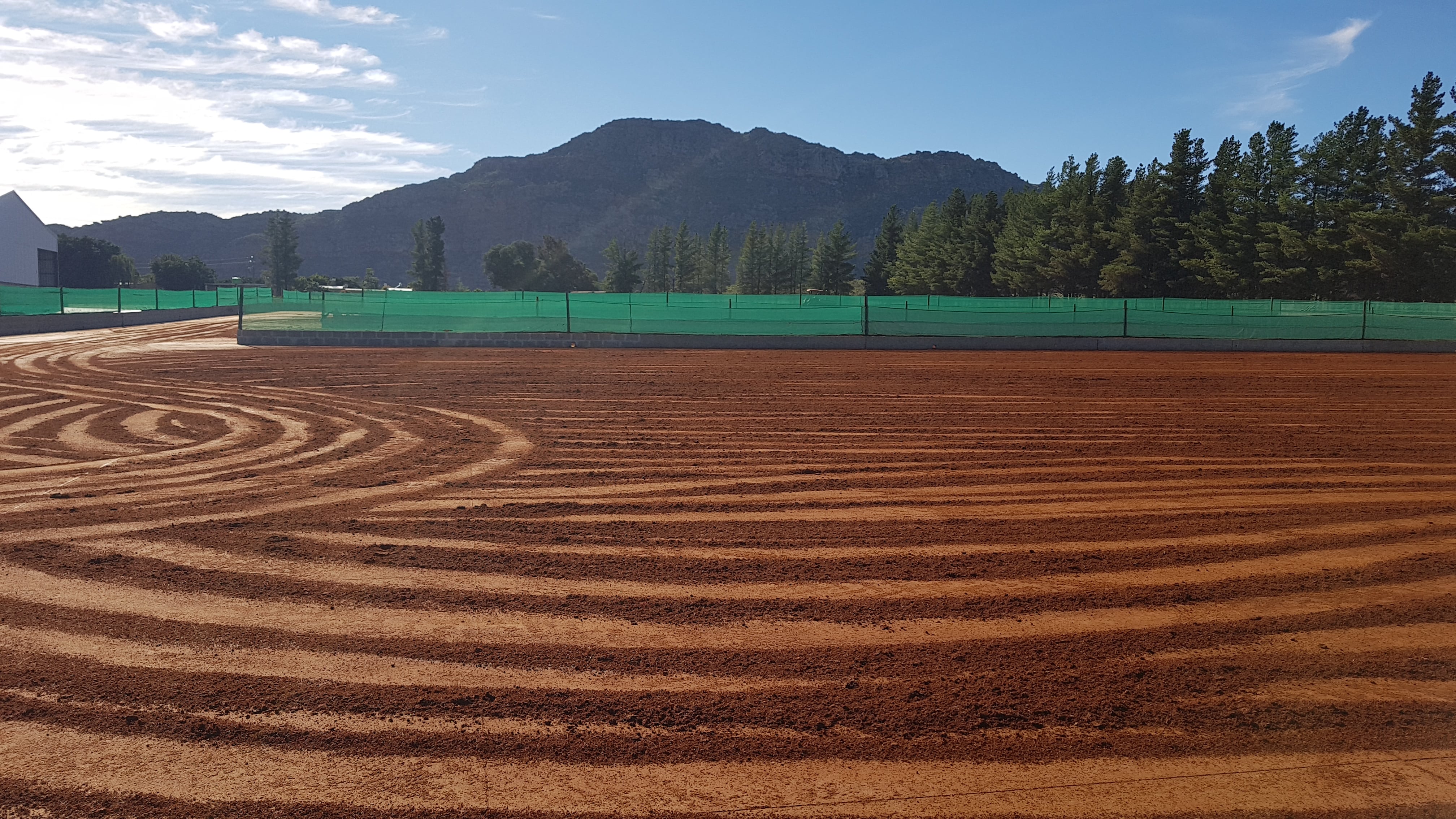 production rooibos