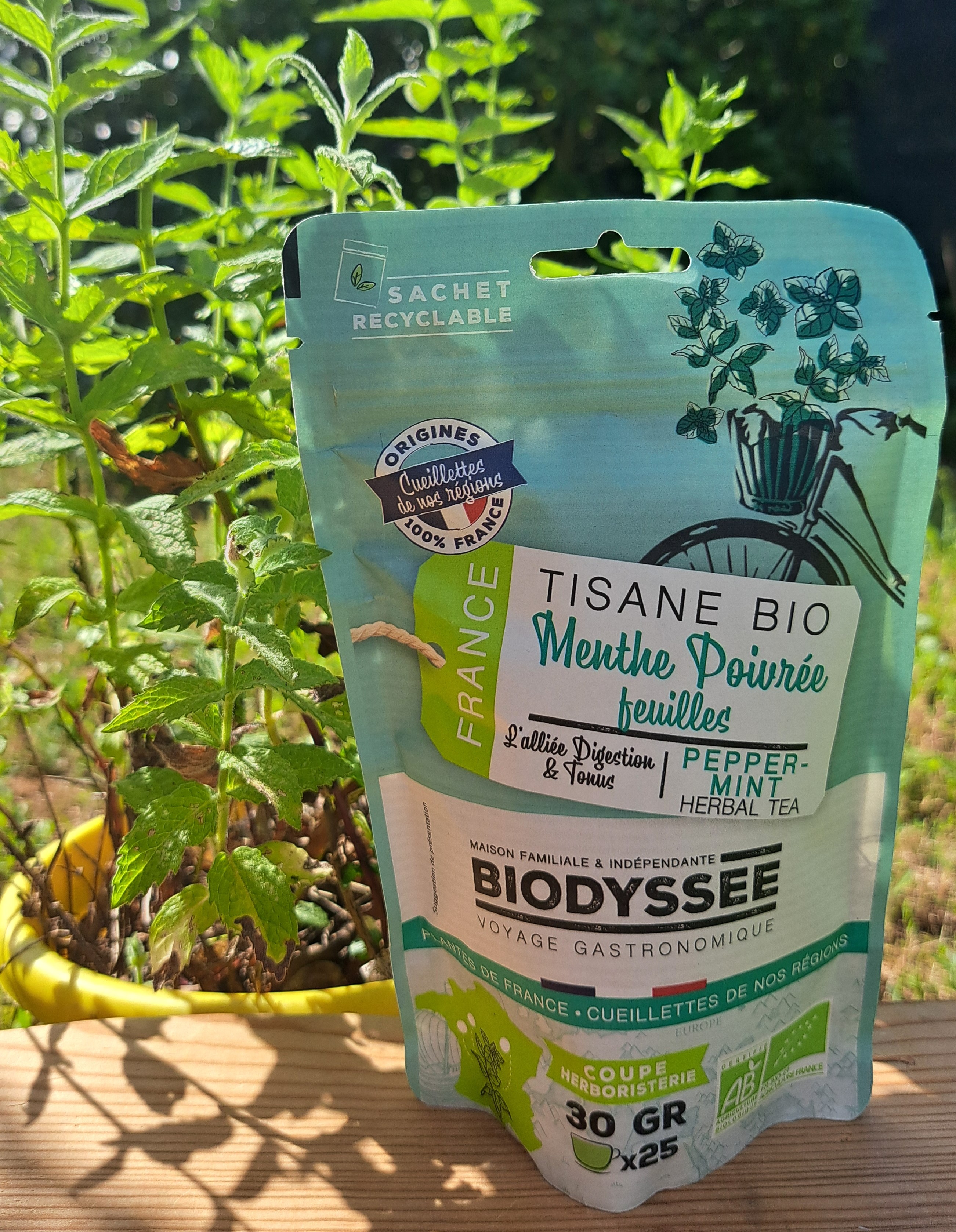 menthe bio