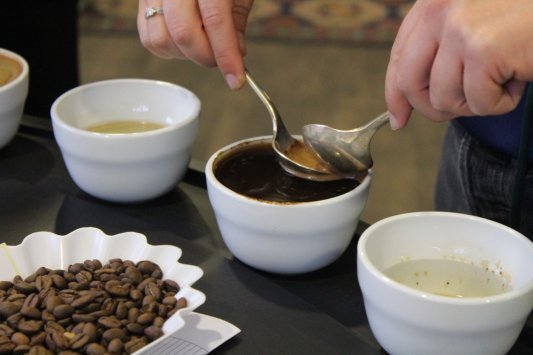 Dégustation de café en cupping