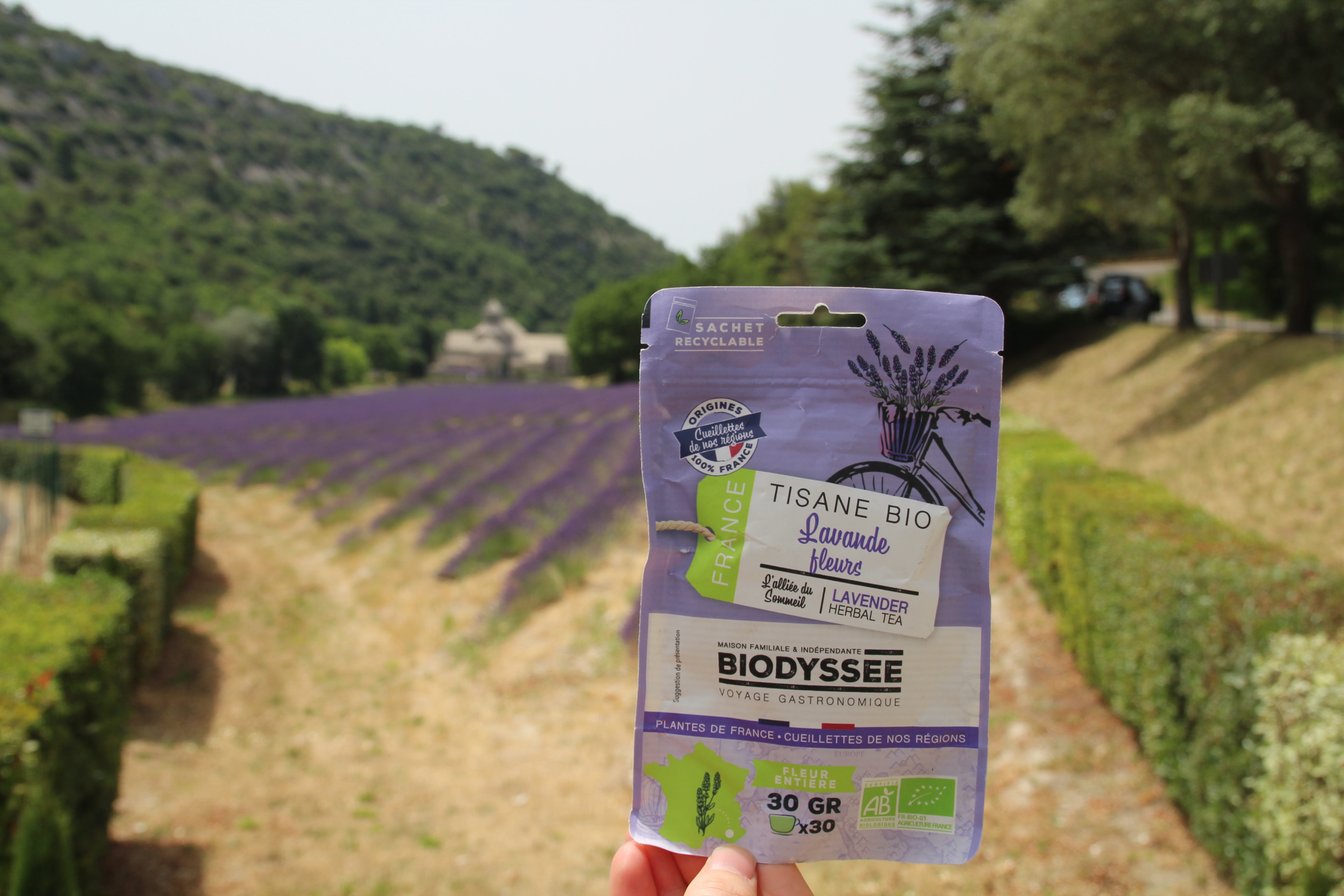 tisane lavande bio