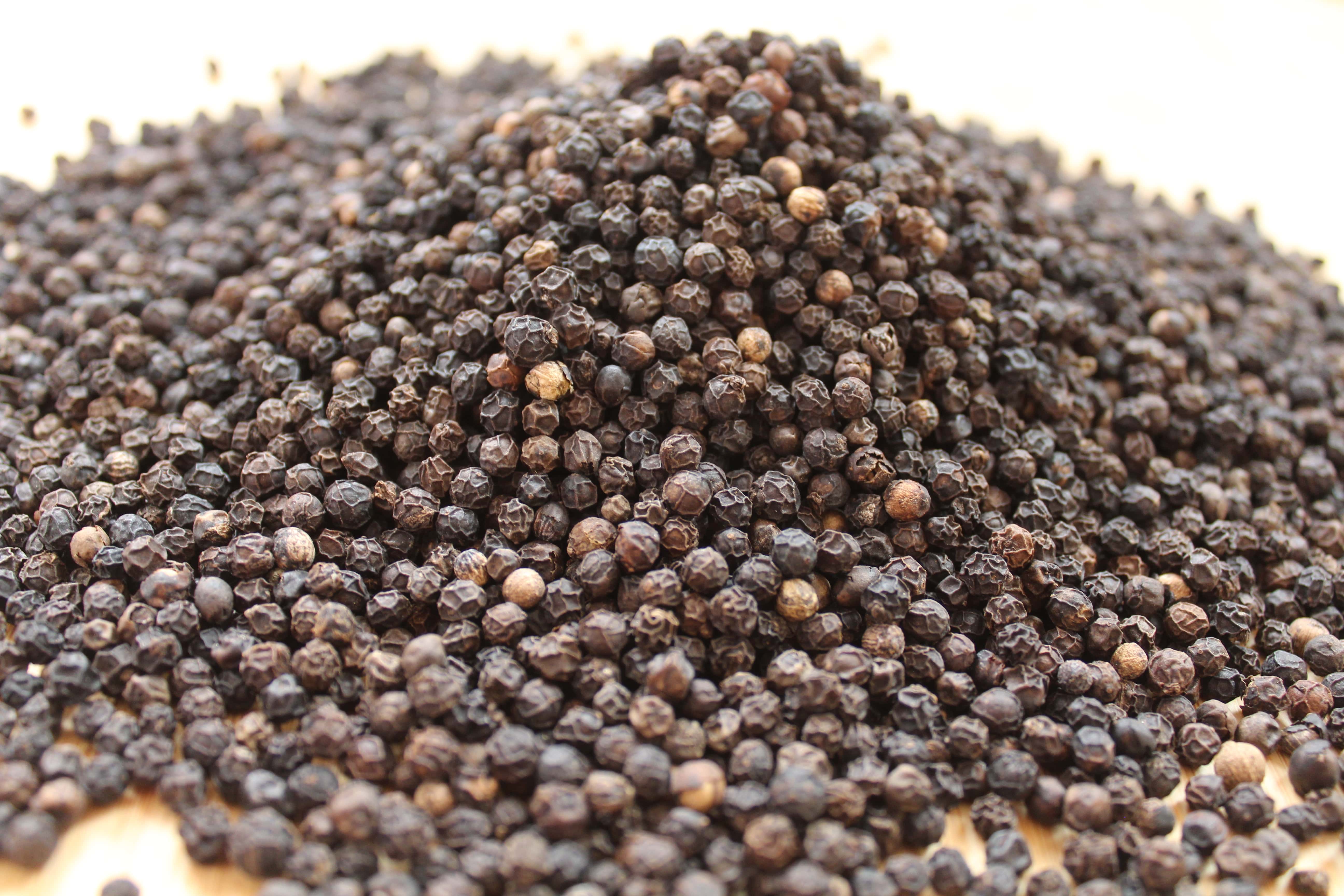 Grains de poivre noir bio