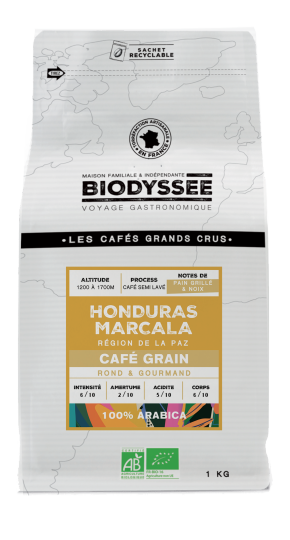 Café grand cru Honduras Marcala